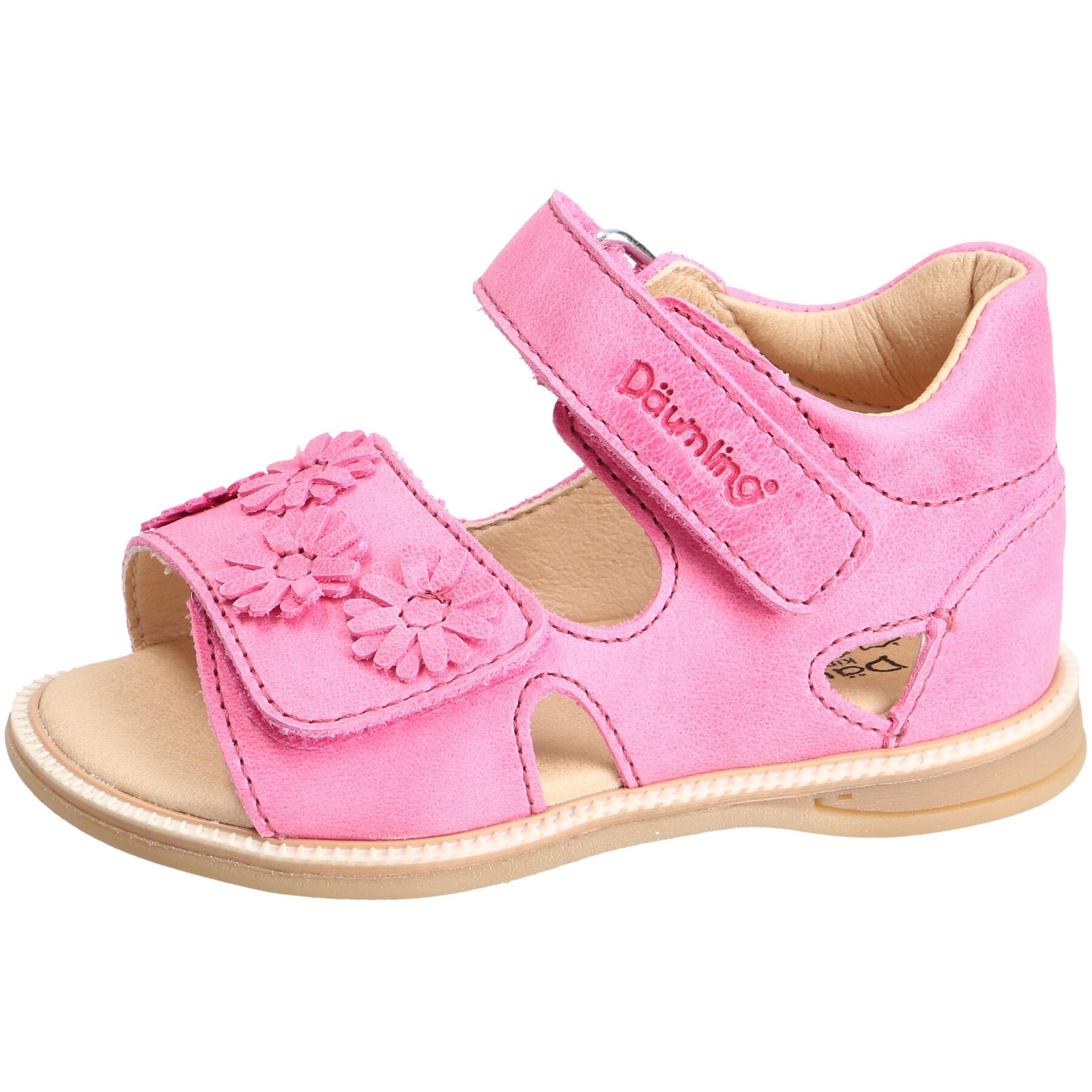 Sunrise begonia Kaltfutter