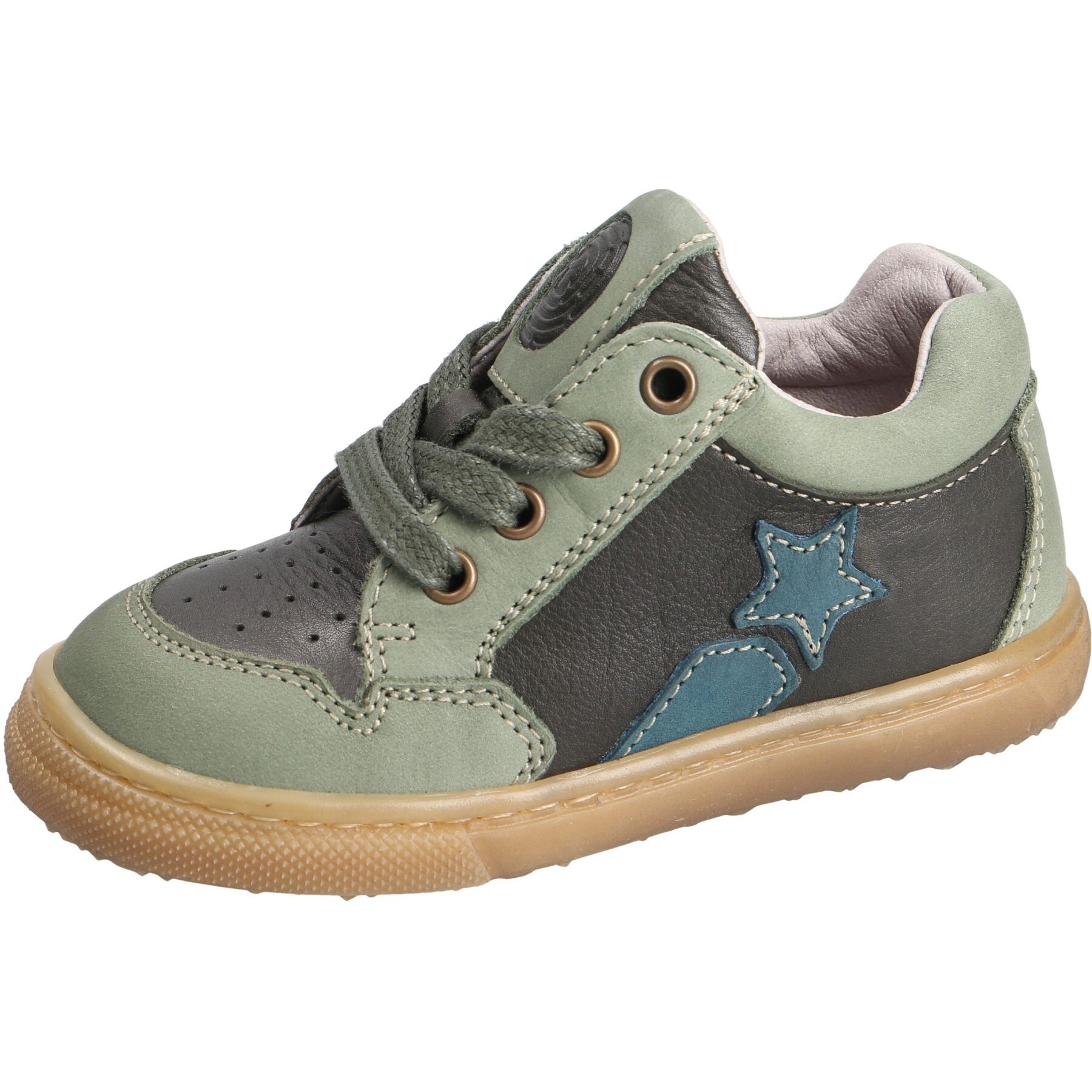 Venice salvia Kaltfutter