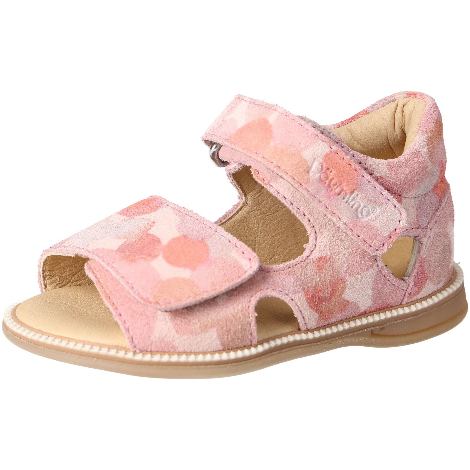 Circle begonia Kaltfutter