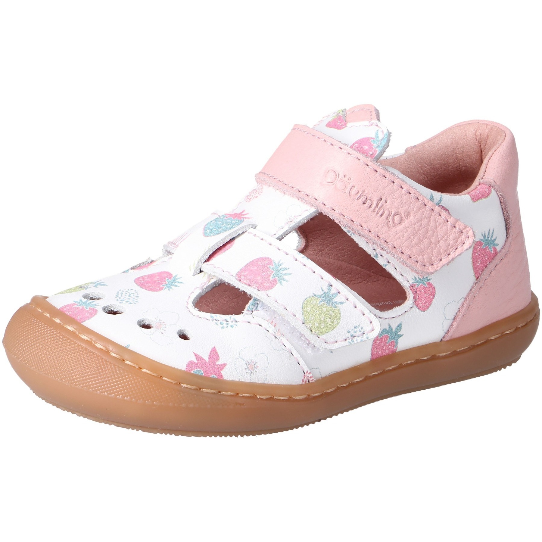 Kashmir strawberries Kaltfutter