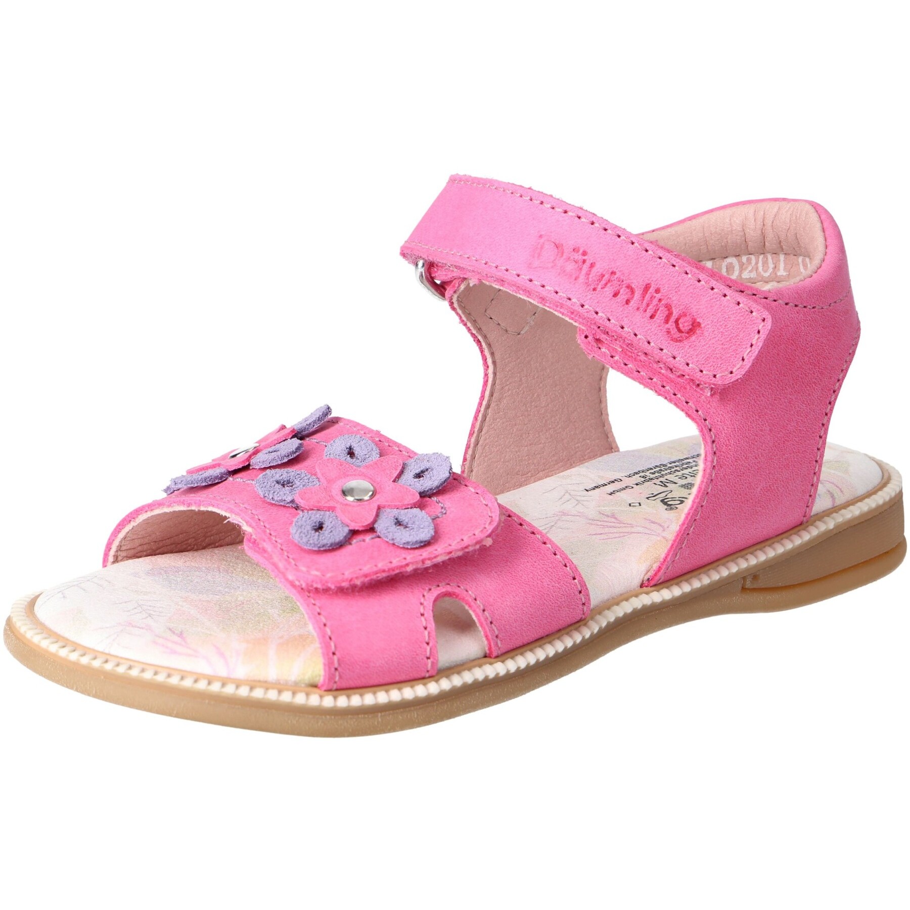 Sunrise begonia Kaltfutter