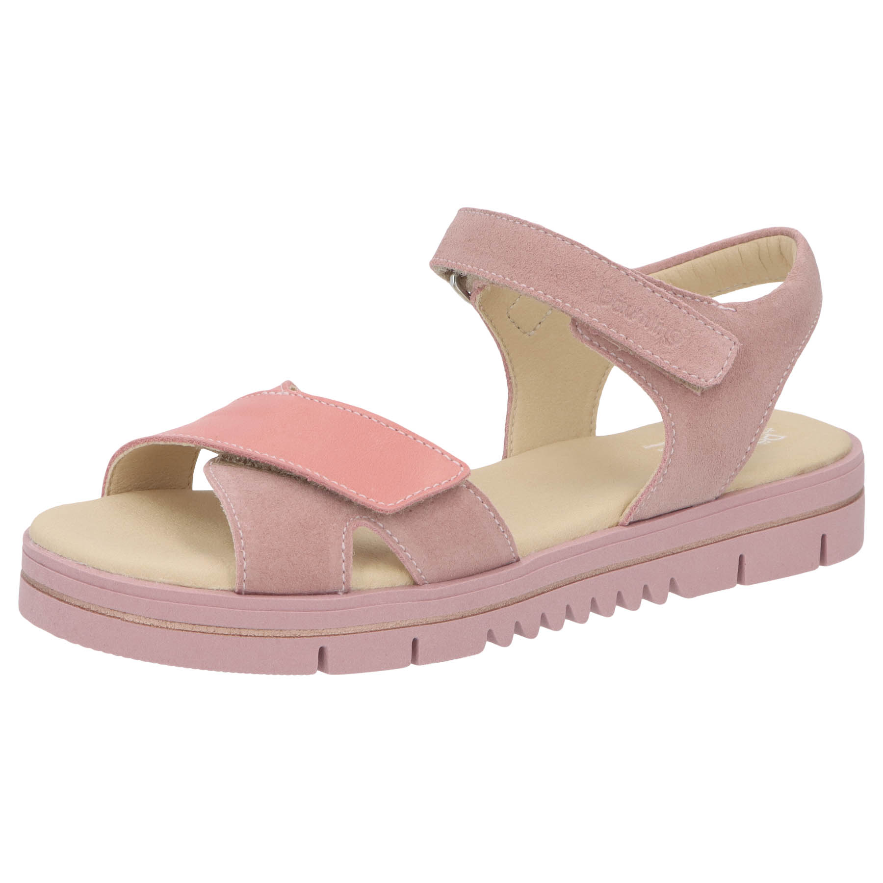 Turino malva Kaltfutter