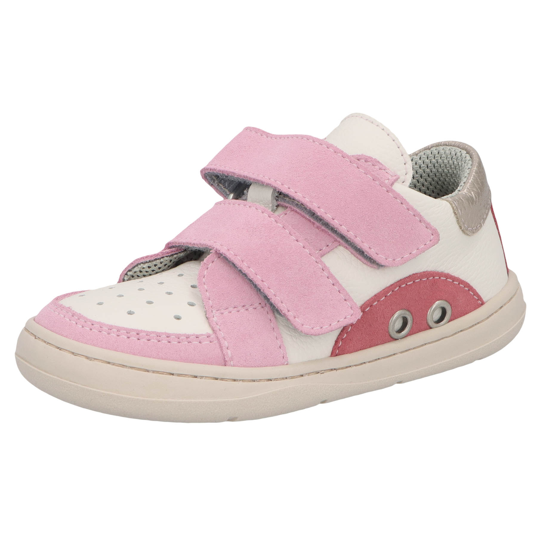 Turino begonia Kaltfutter