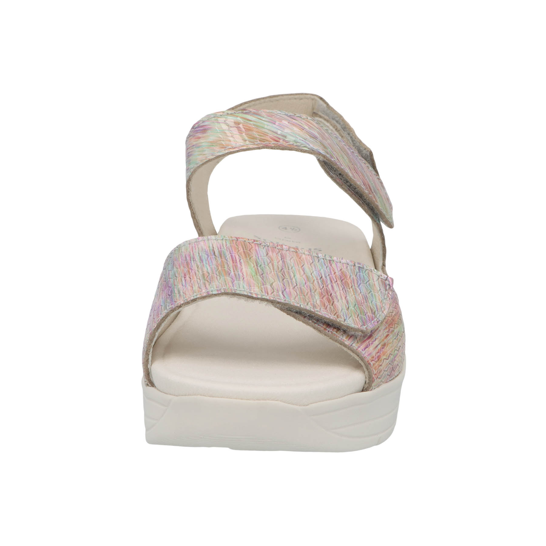 solidus-greta-horasan-fairy-vorderansicht